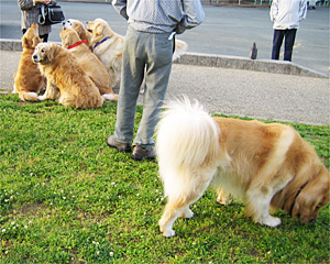 0705-27-03le.jpg