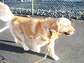 0801-26-01le.jpg