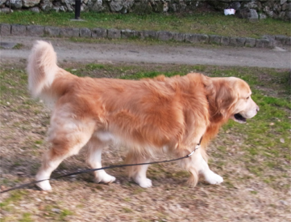 2012-02-01-05-1.jpg
