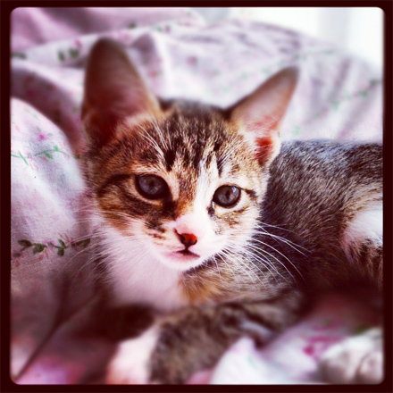 201206-03-03a.jpg