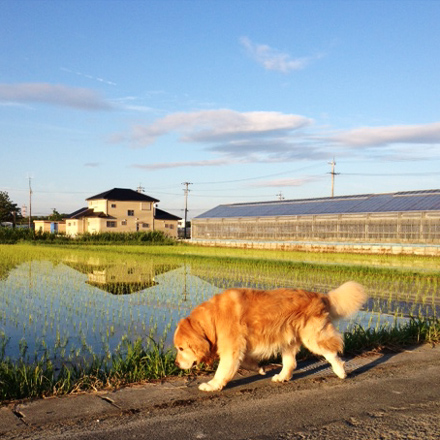 201206-10-02l.jpg