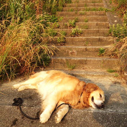 201206-10-03l.jpg