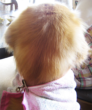 0705-29-01le.jpg