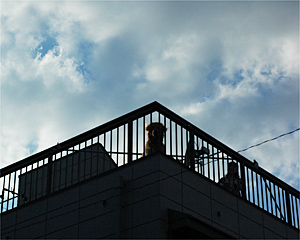0710-22-11le.jpg