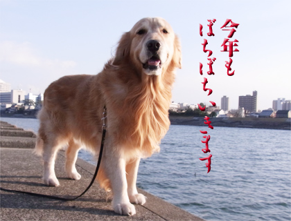 2012-01-20-01.jpg